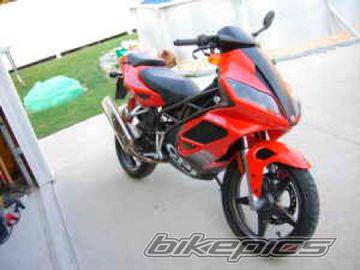 Photo 1001069