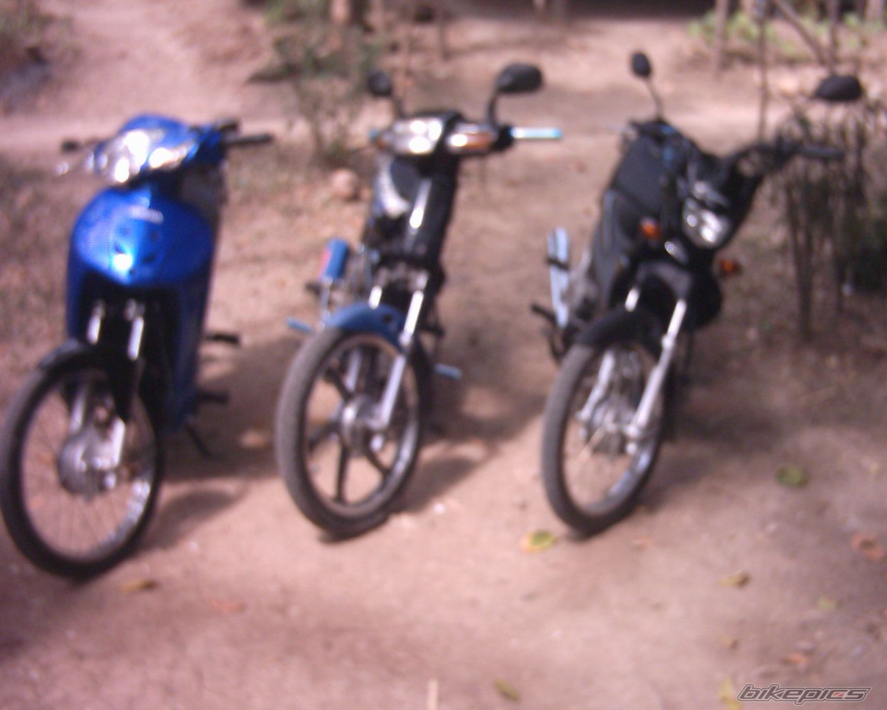 Photo 1001992