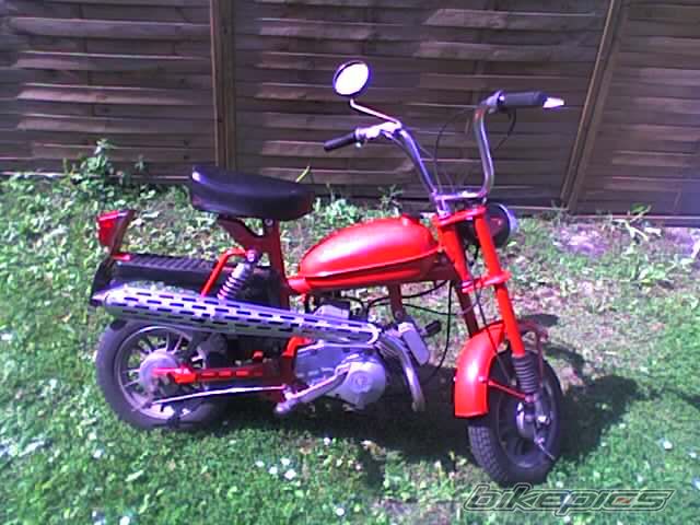 Photo 1002306