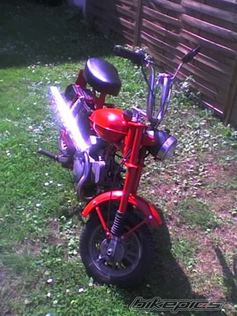 Photo 1002309