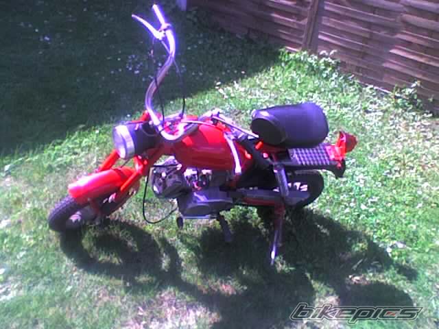 Photo 1002310