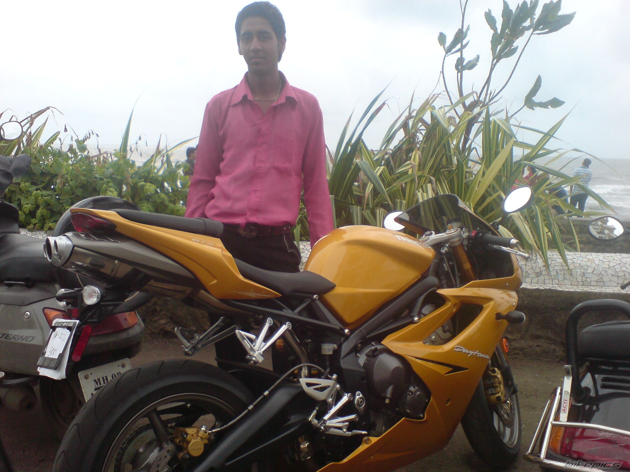 Photo 1002642