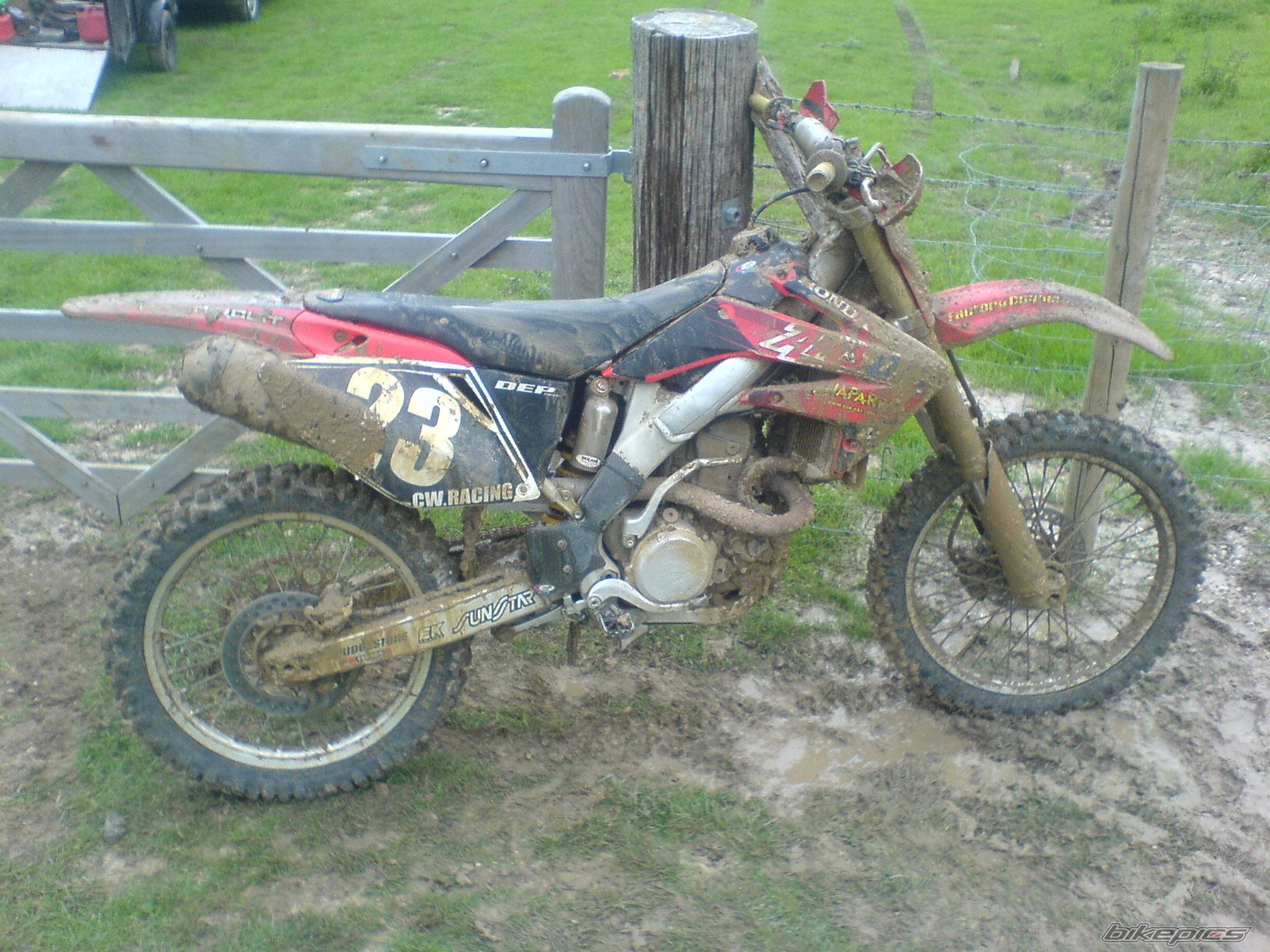 Photo 1003076