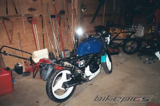 Photo 100391