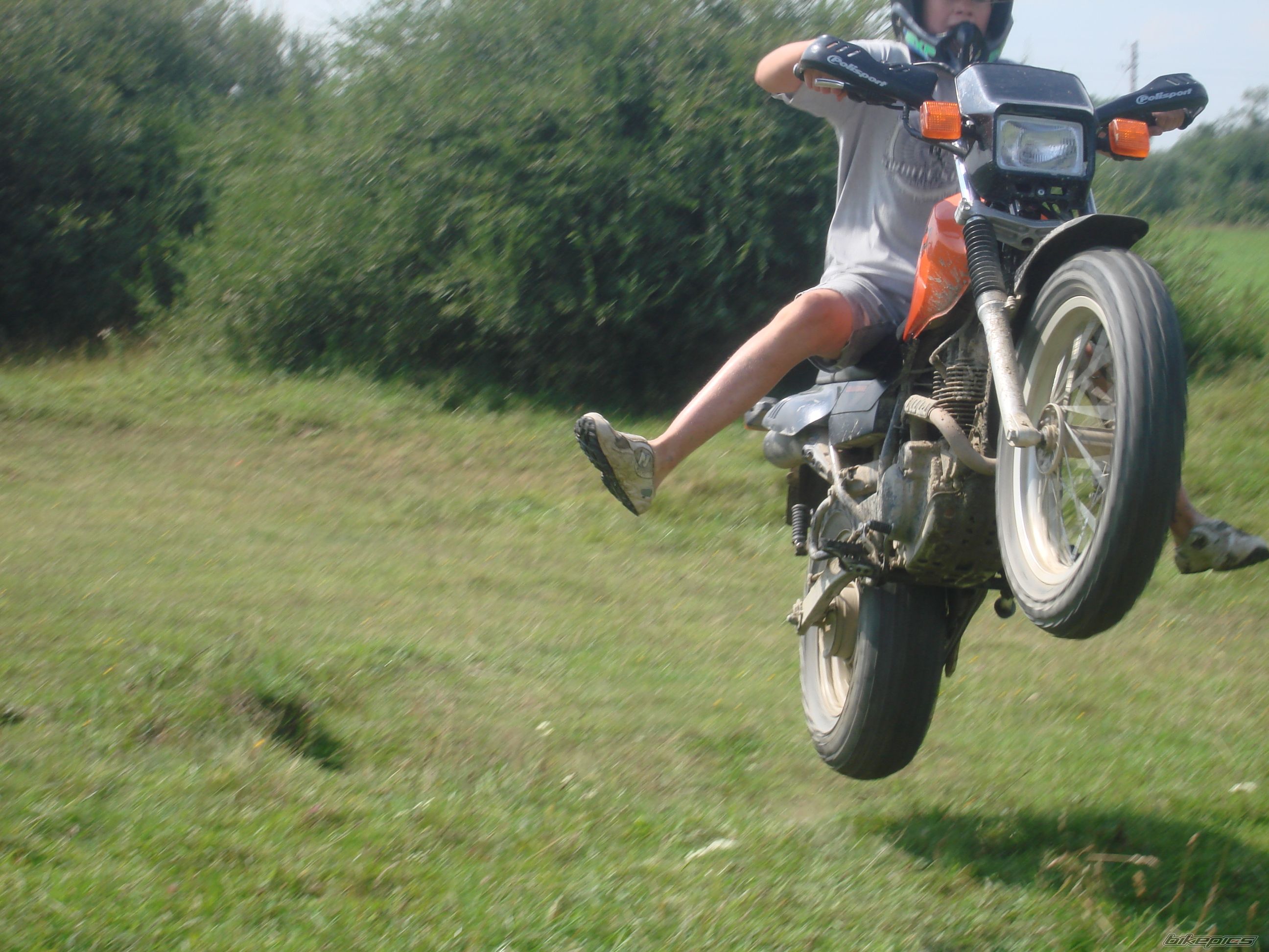 Photo 1003982