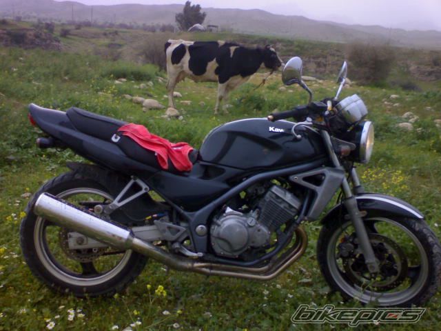 Photo 1004930
