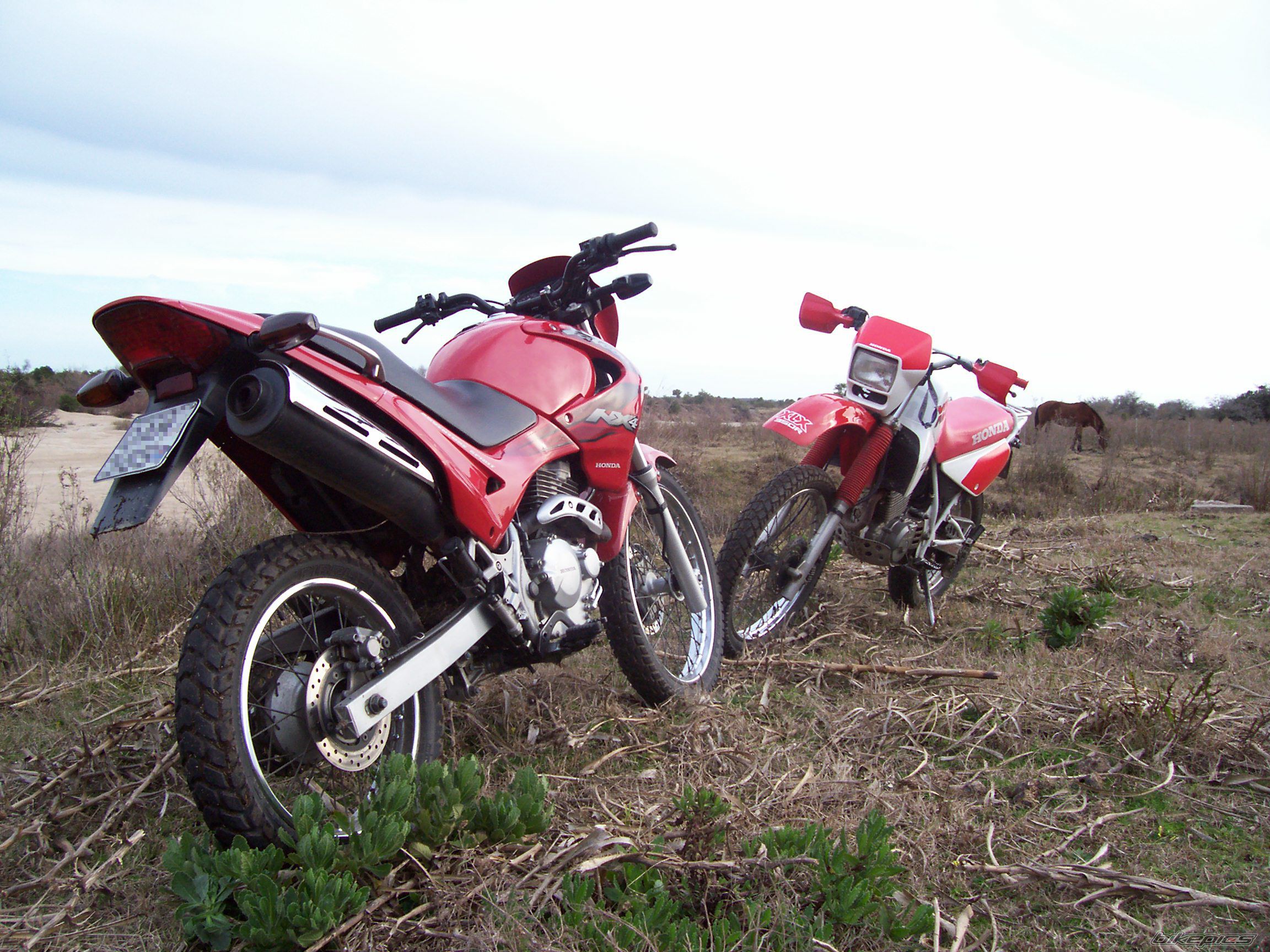 Bike Photo 1005148