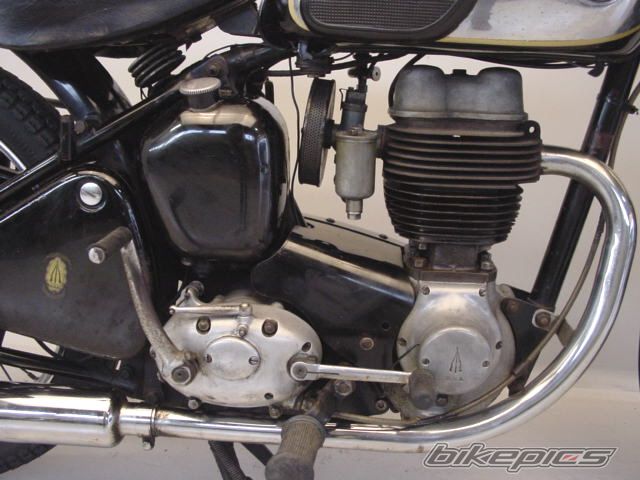 Photo 1006295