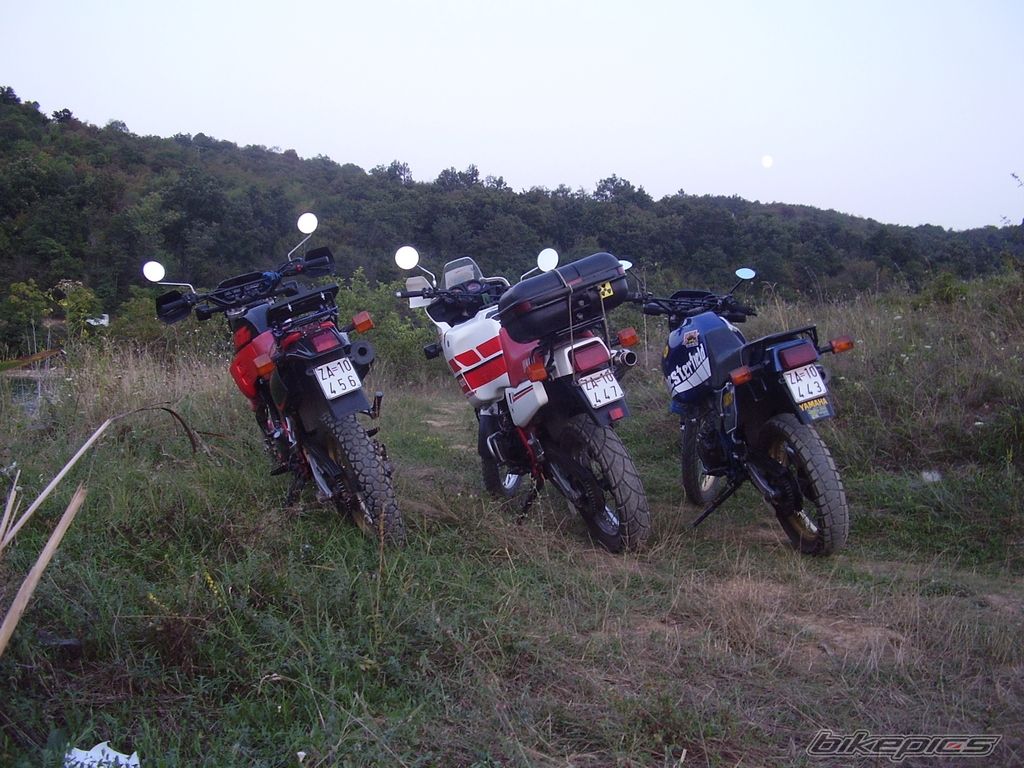 Photo 1006492