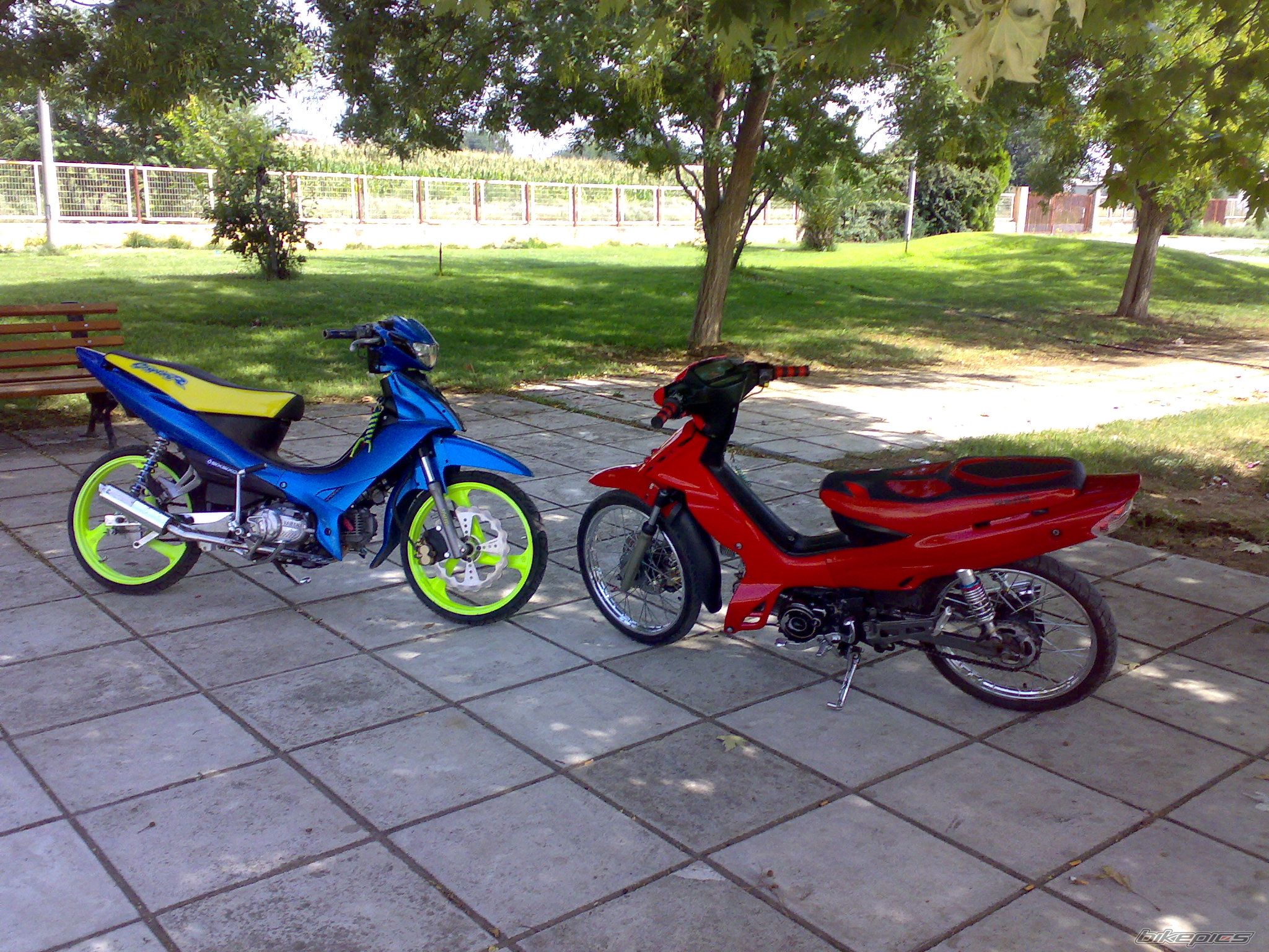 Photo 1006686