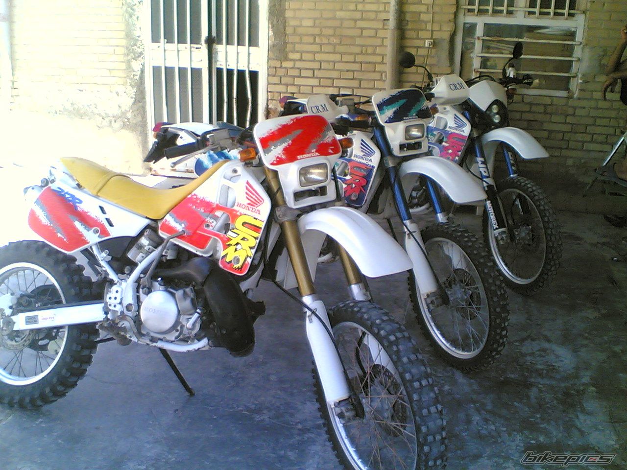 Photo 1008408