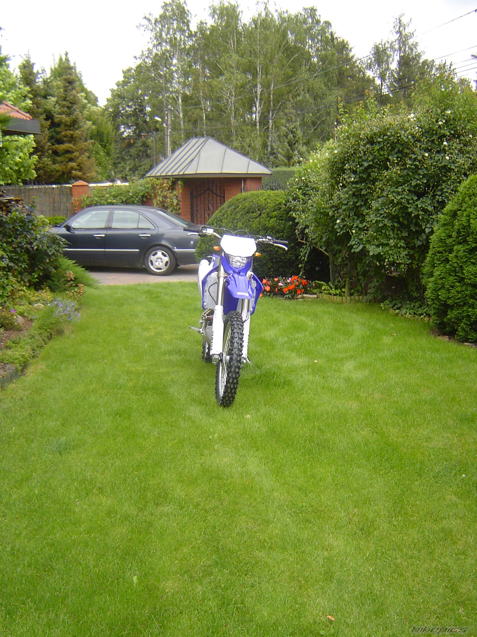 Photo 1008806