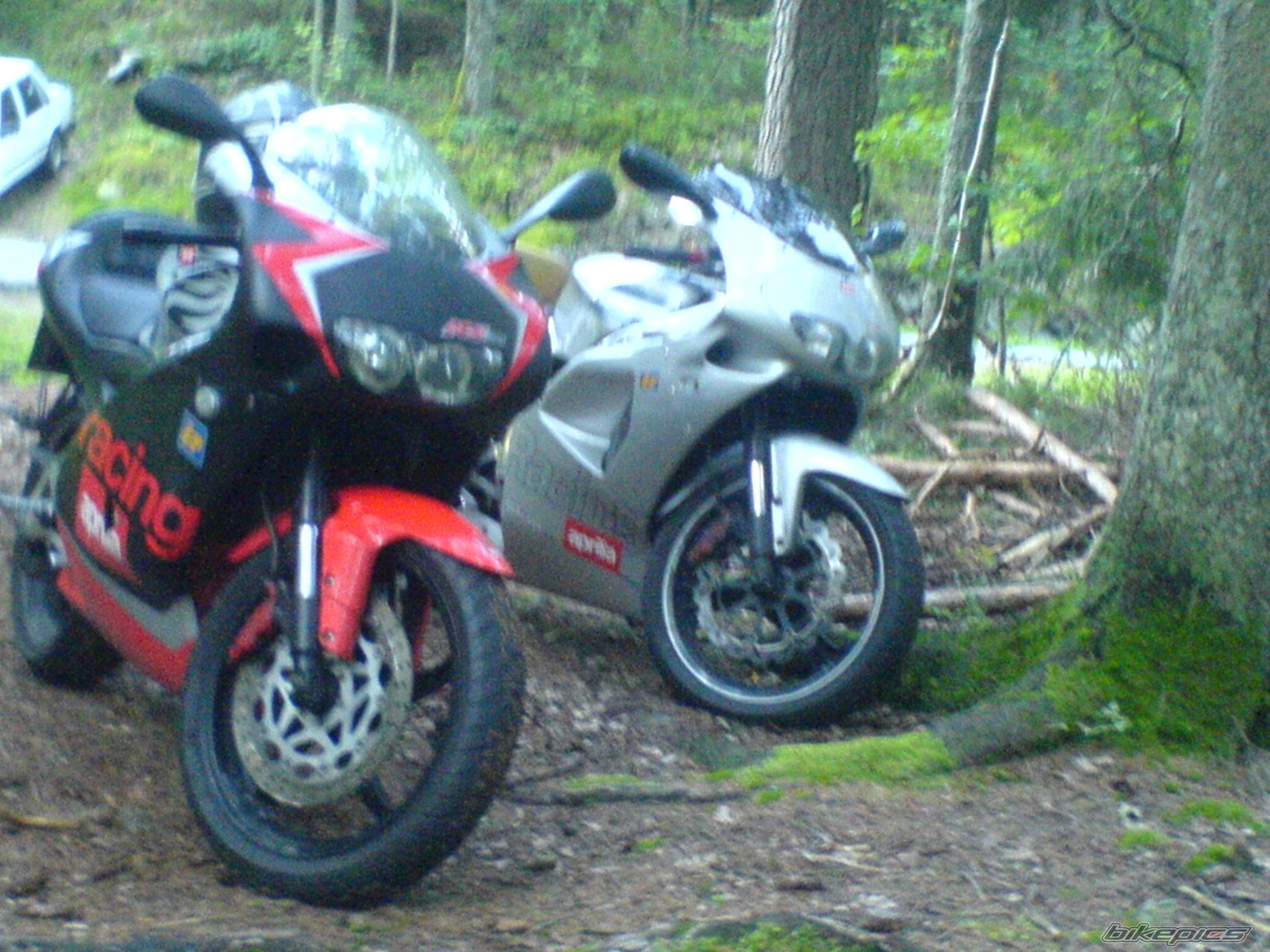 Photo 1009795