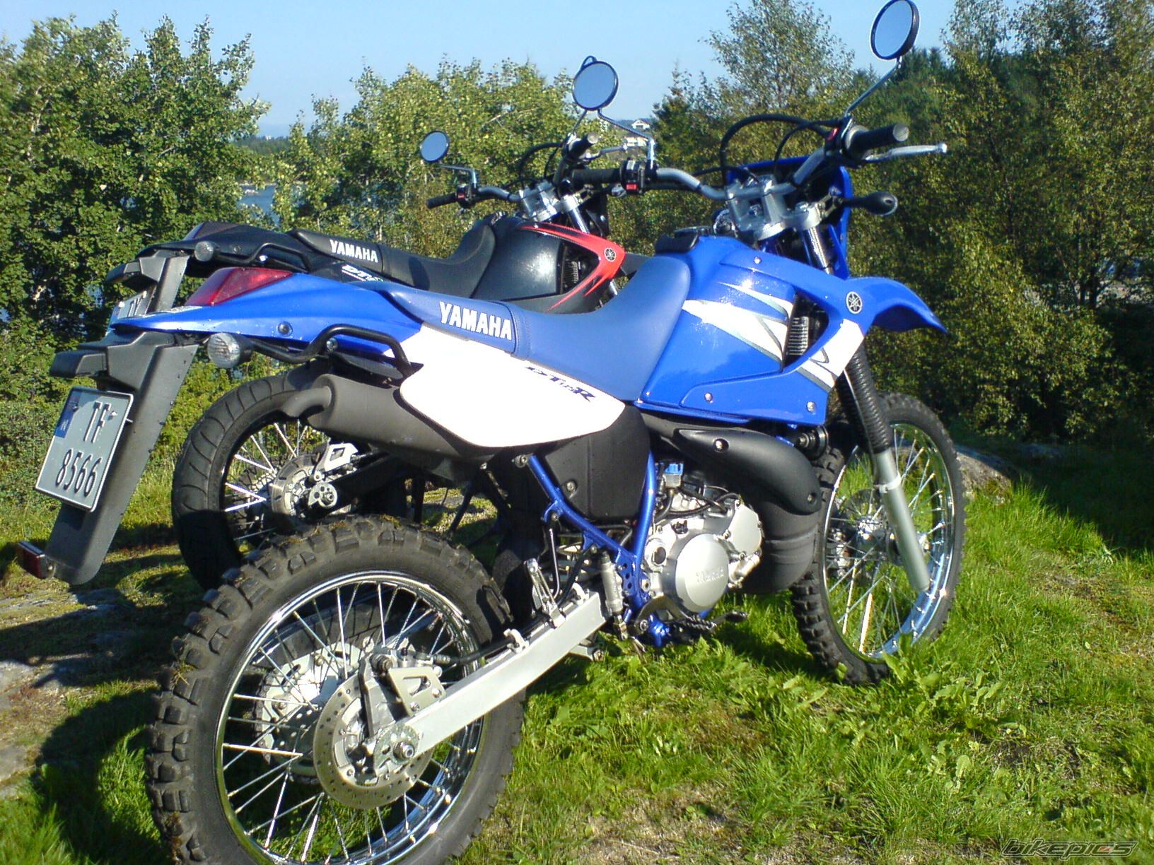 Photo 1011030