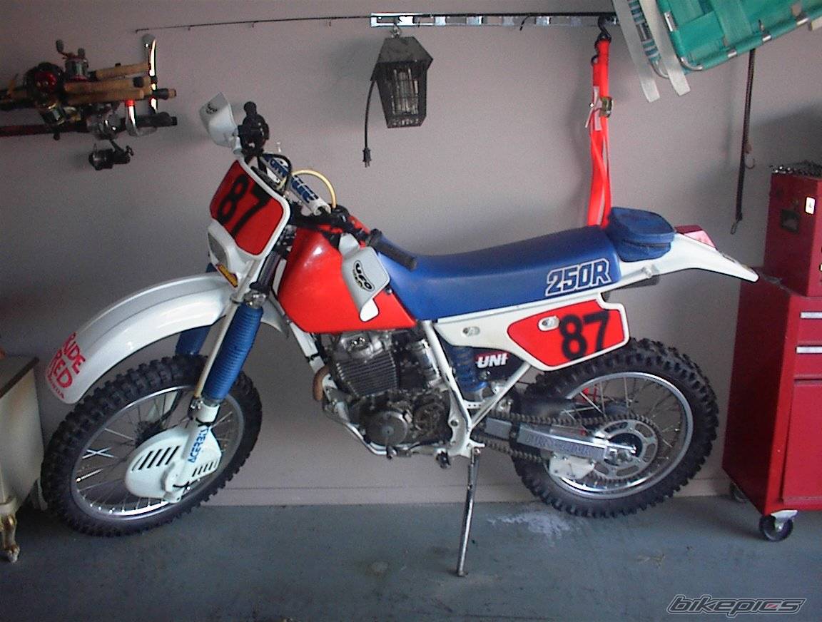 Bike Photo 101974