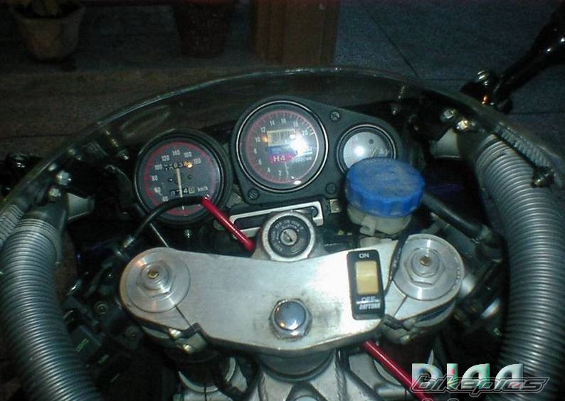 Photo 1019909