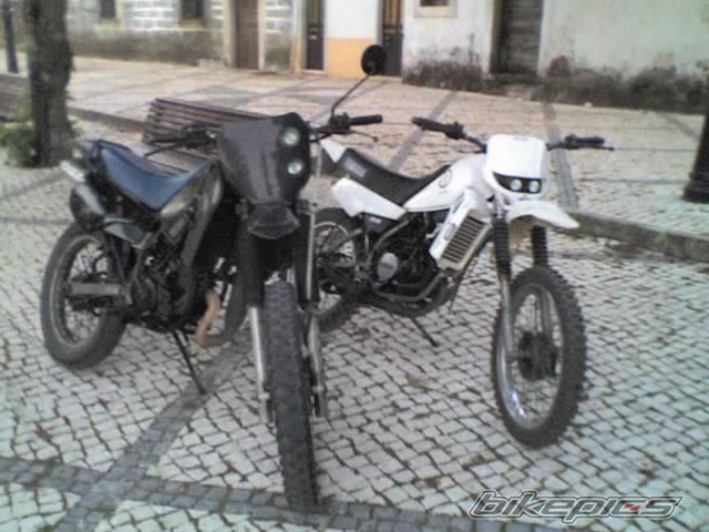 Photo 1020276