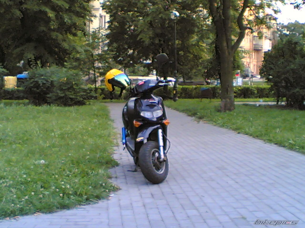 Photo 1021203