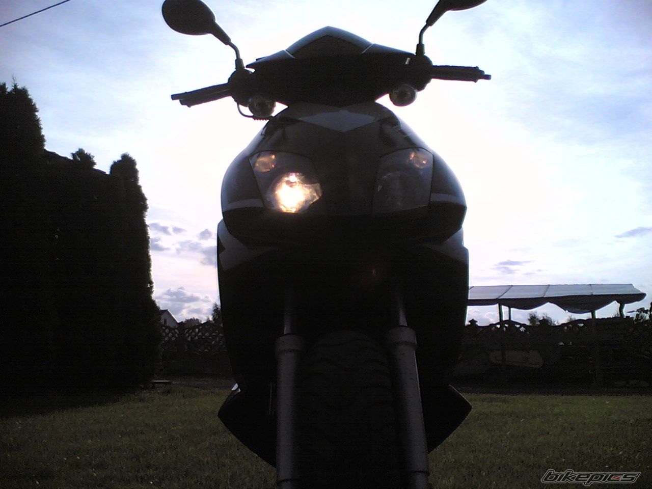 Photo 1022219