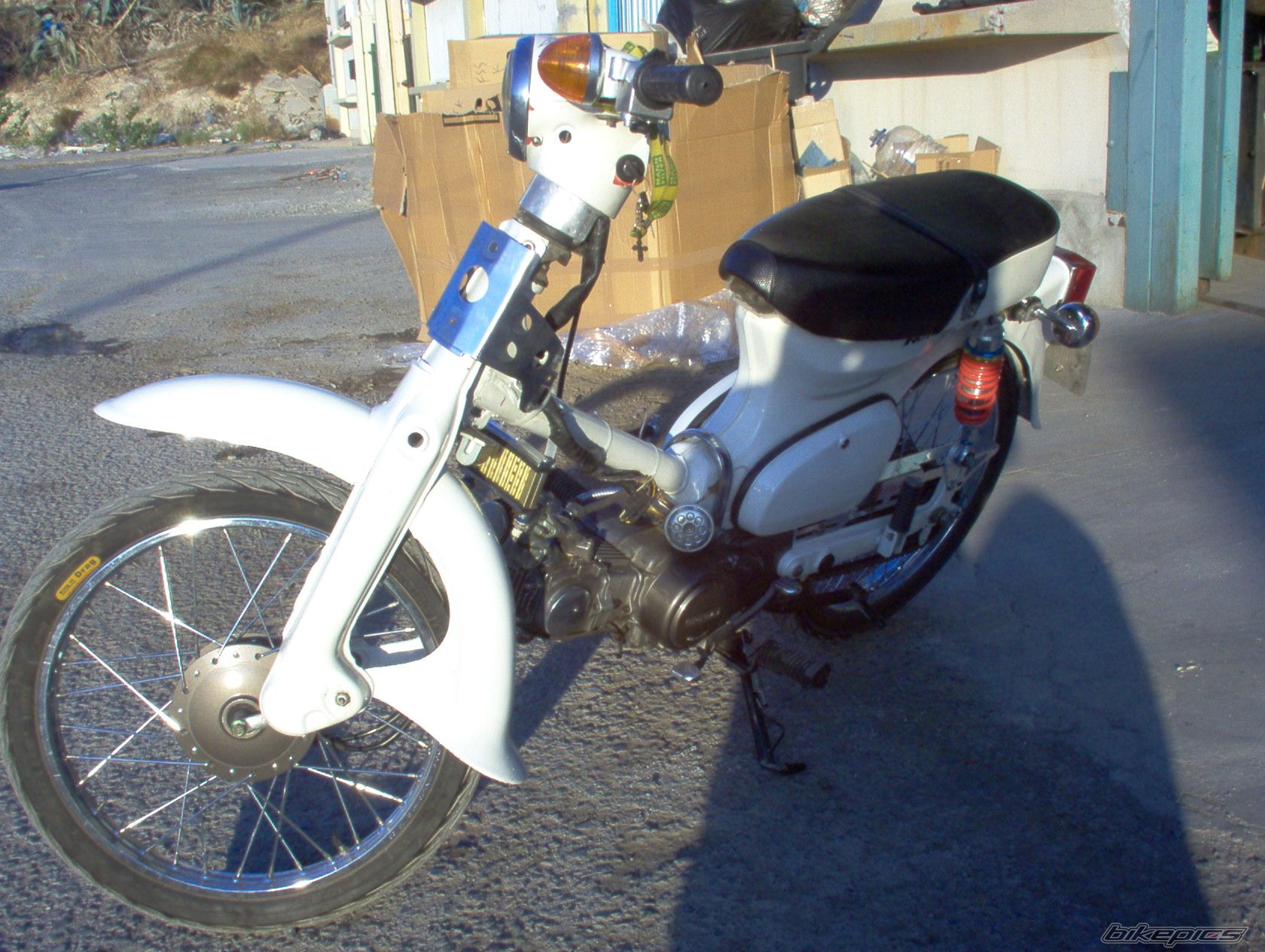 Photo 1023577