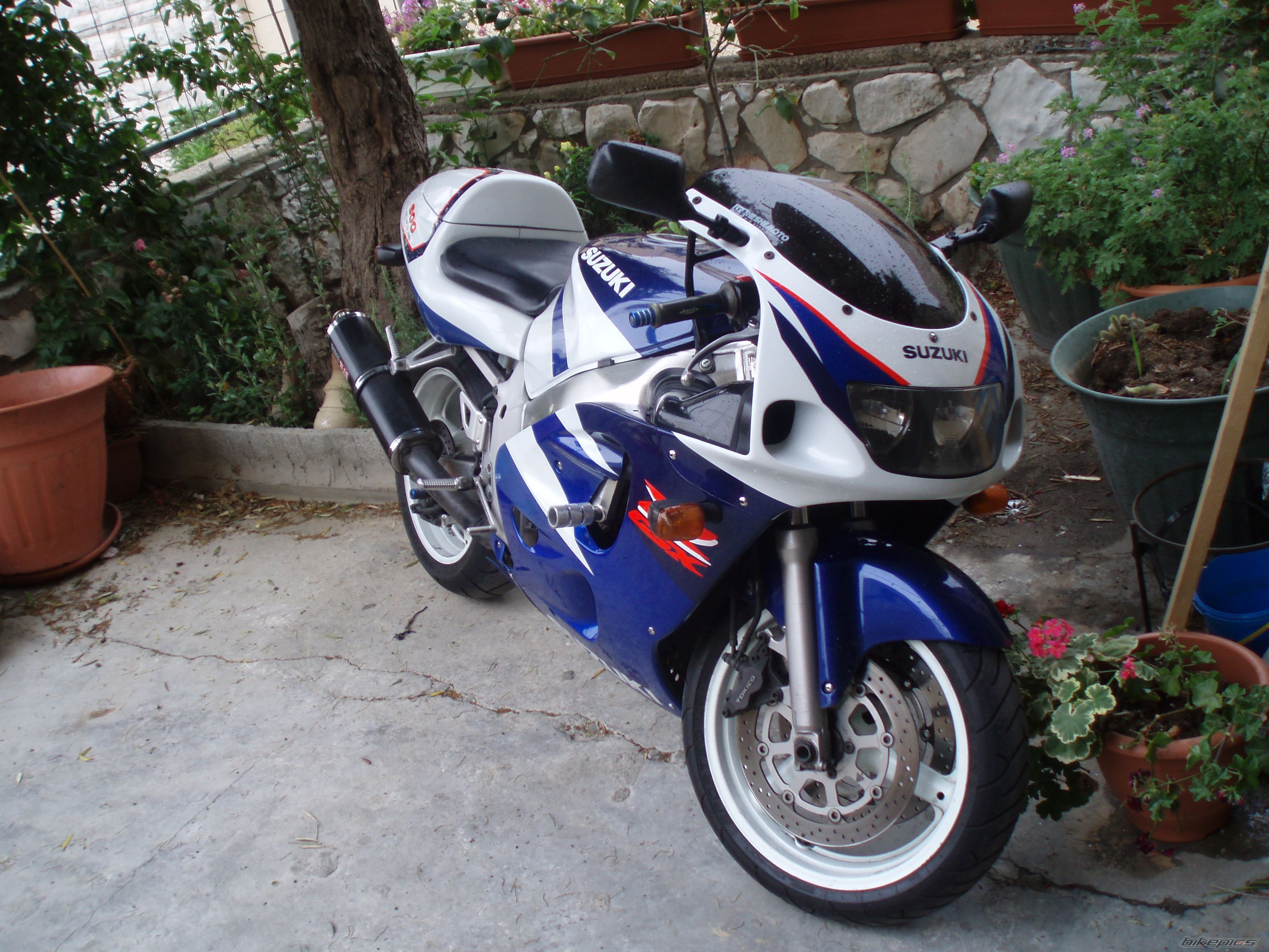 Photo 1024968