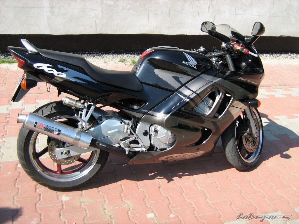 Photo 1025415