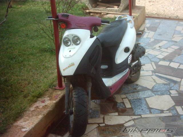 Photo 102667