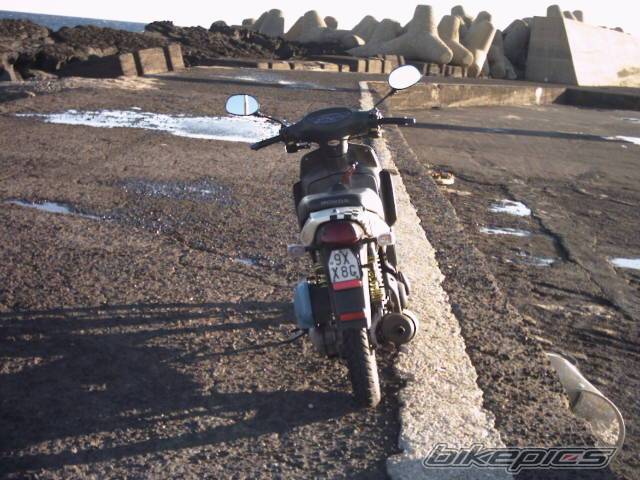 Photo 103261