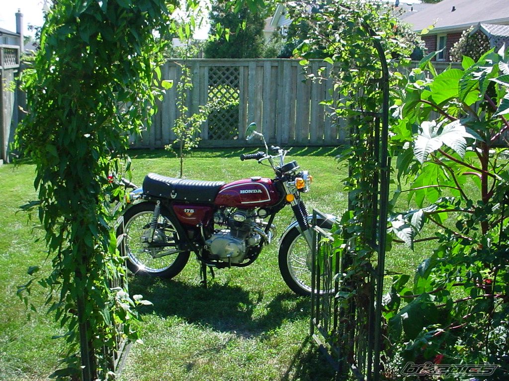 Photo 1036067