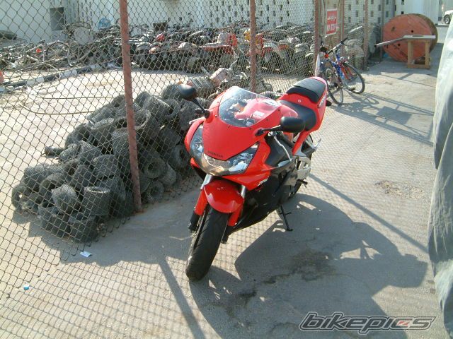 Photo 1039078