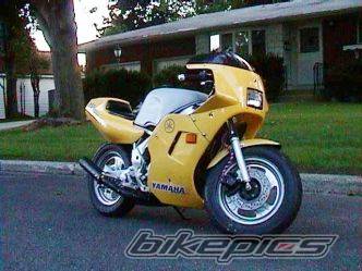 Photo 10441