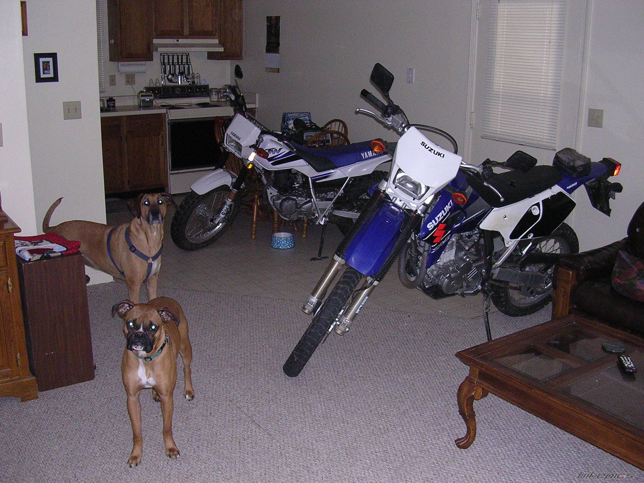 Photo 106993