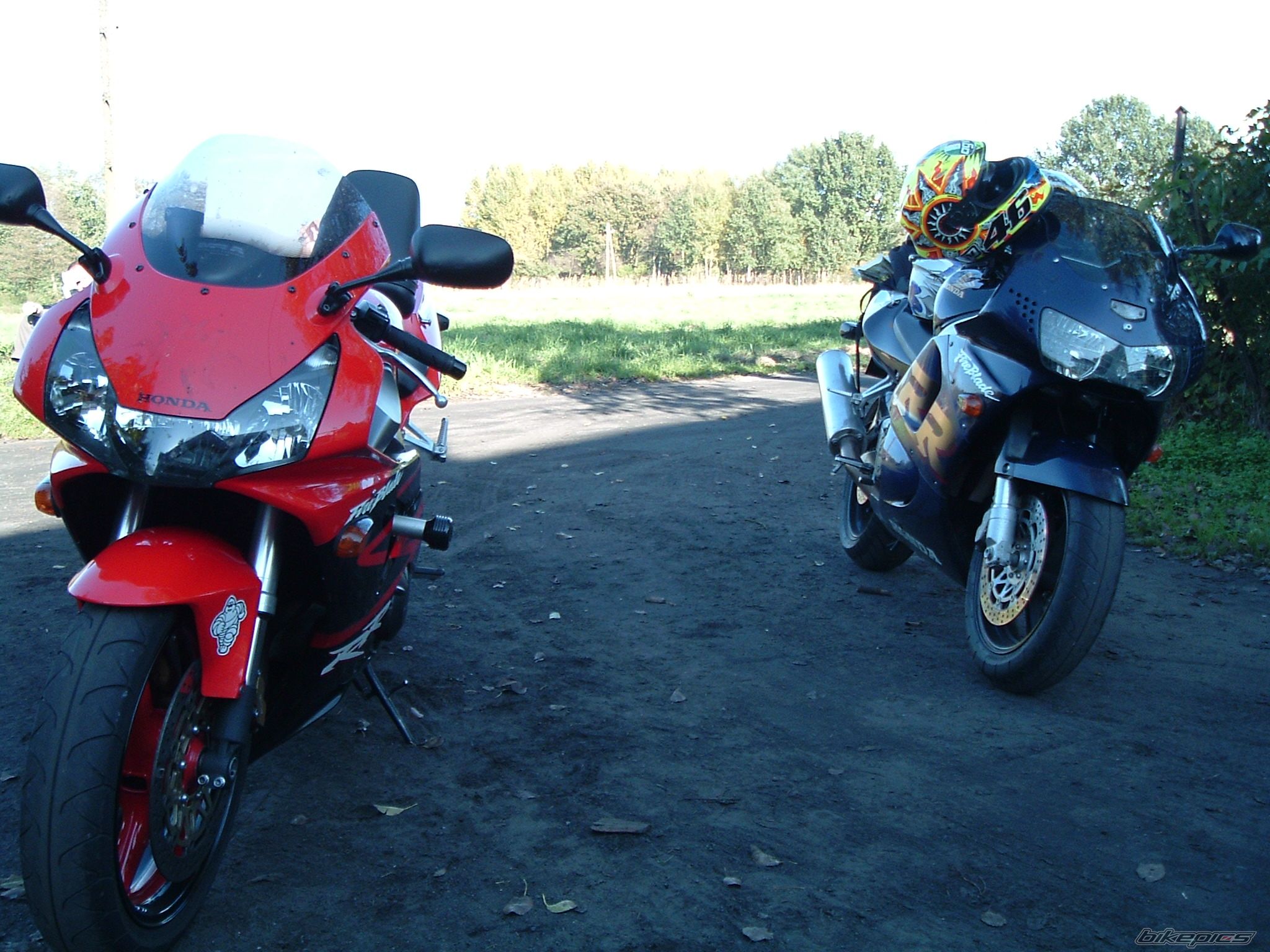 Photo 1072219