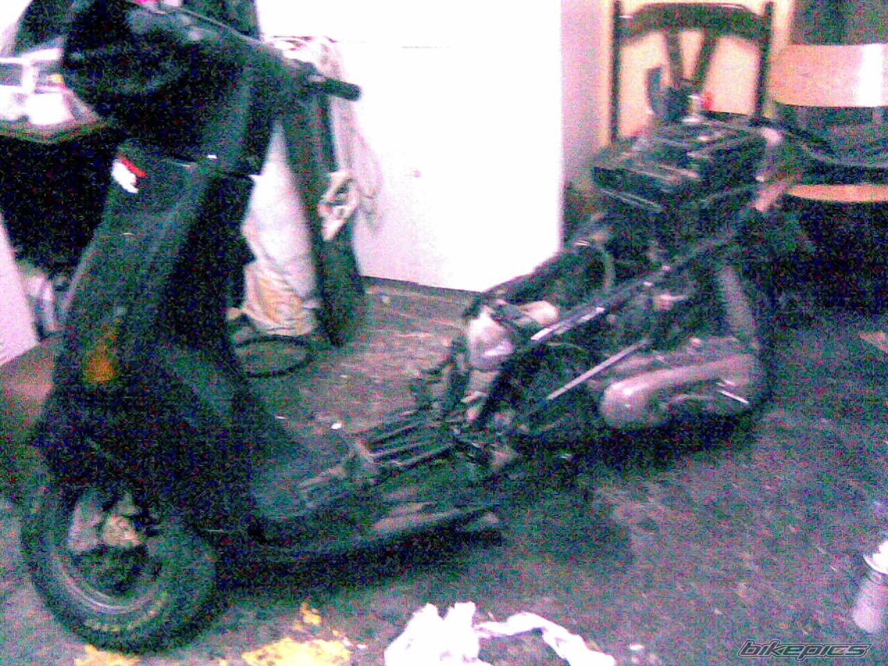 Photo 1074183
