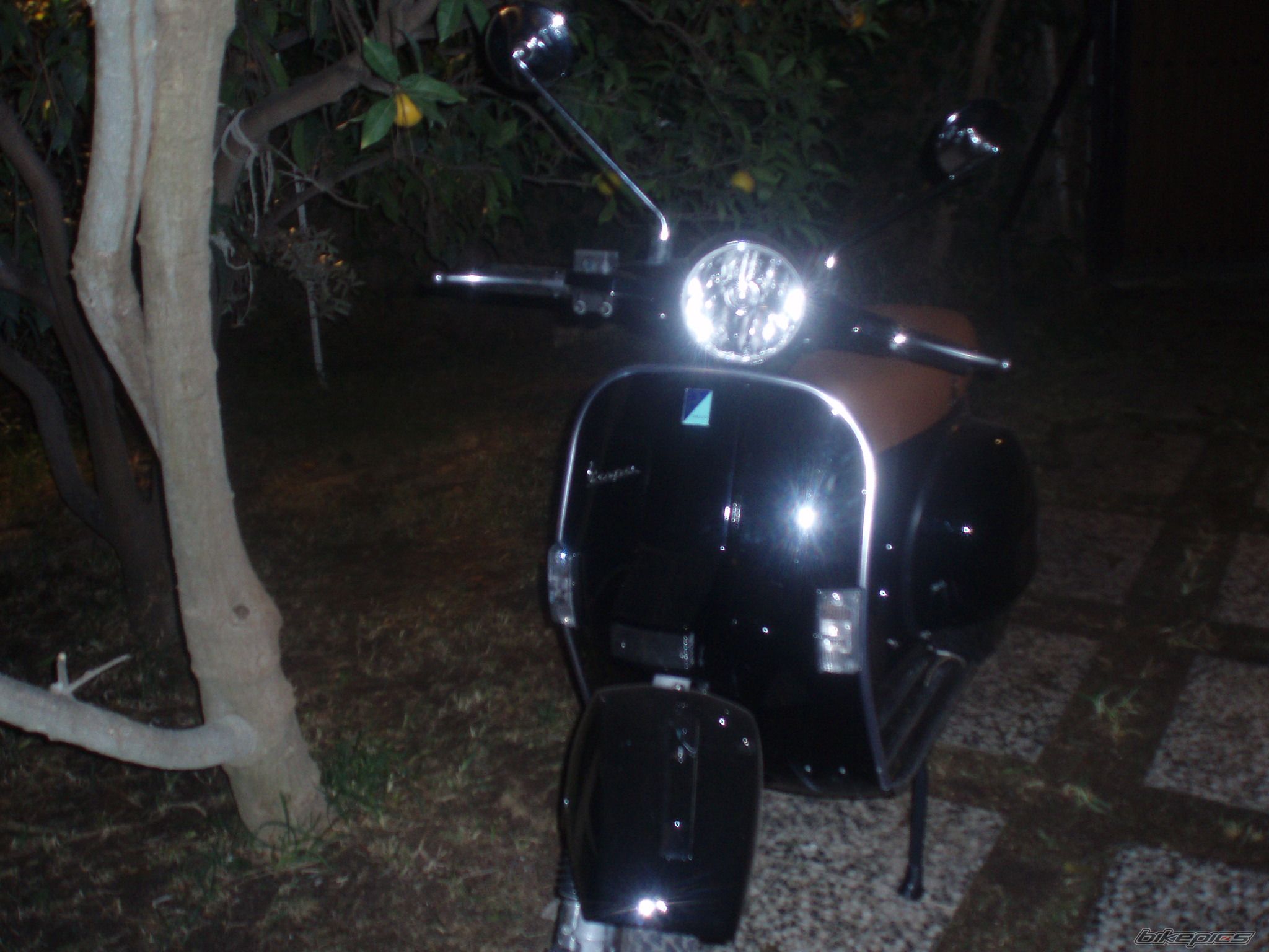 Photo 1077655