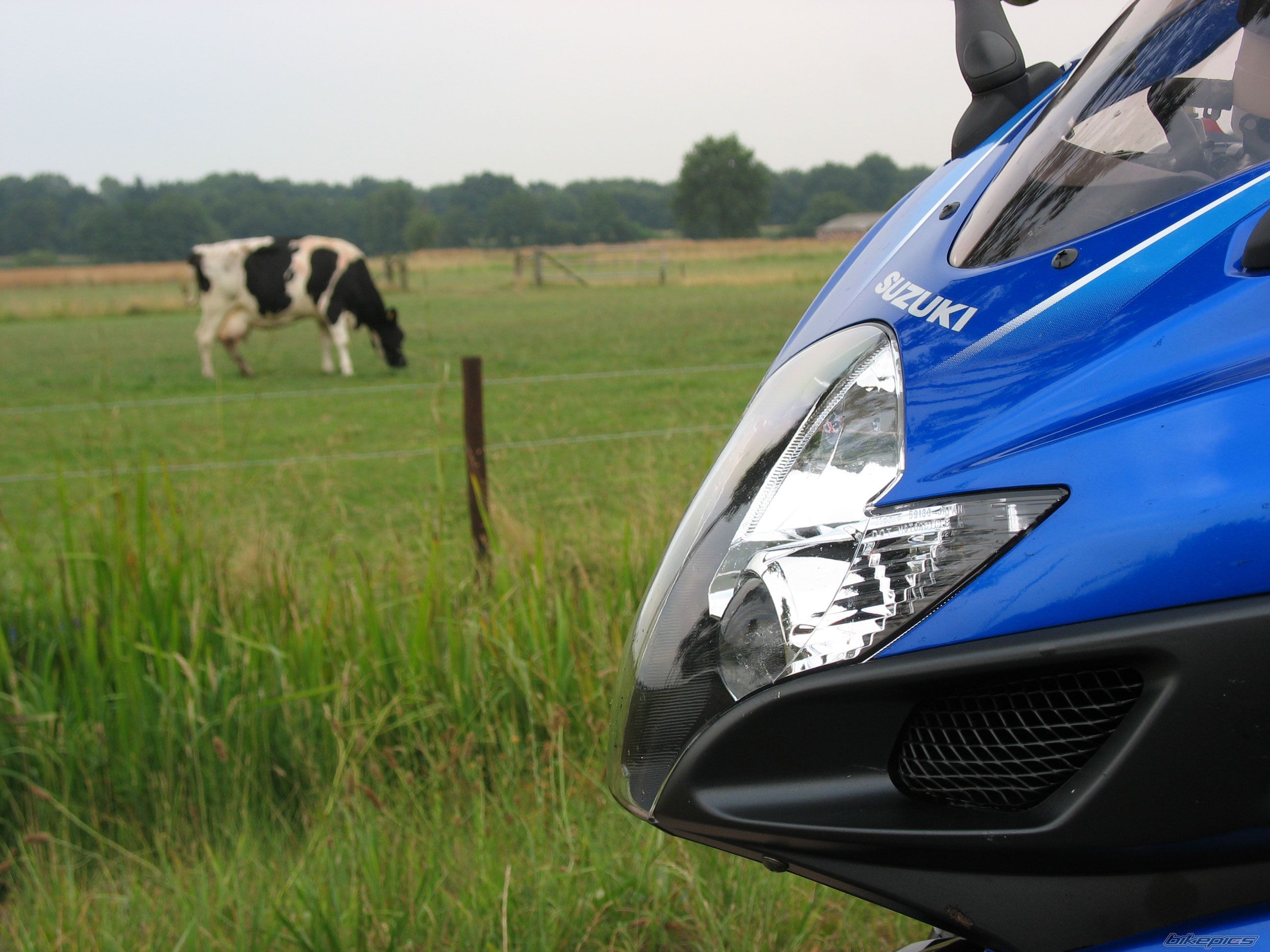 Bike Photo 1077658