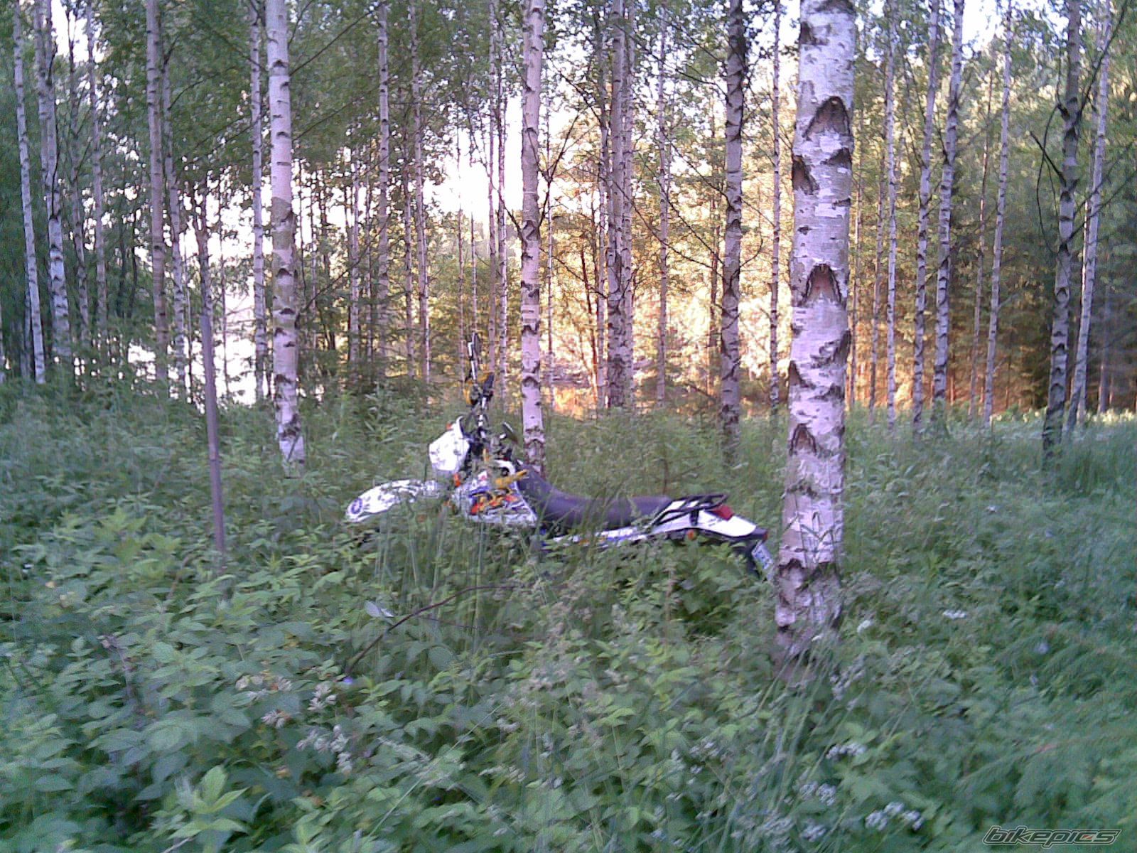 Bike Photo 1081132