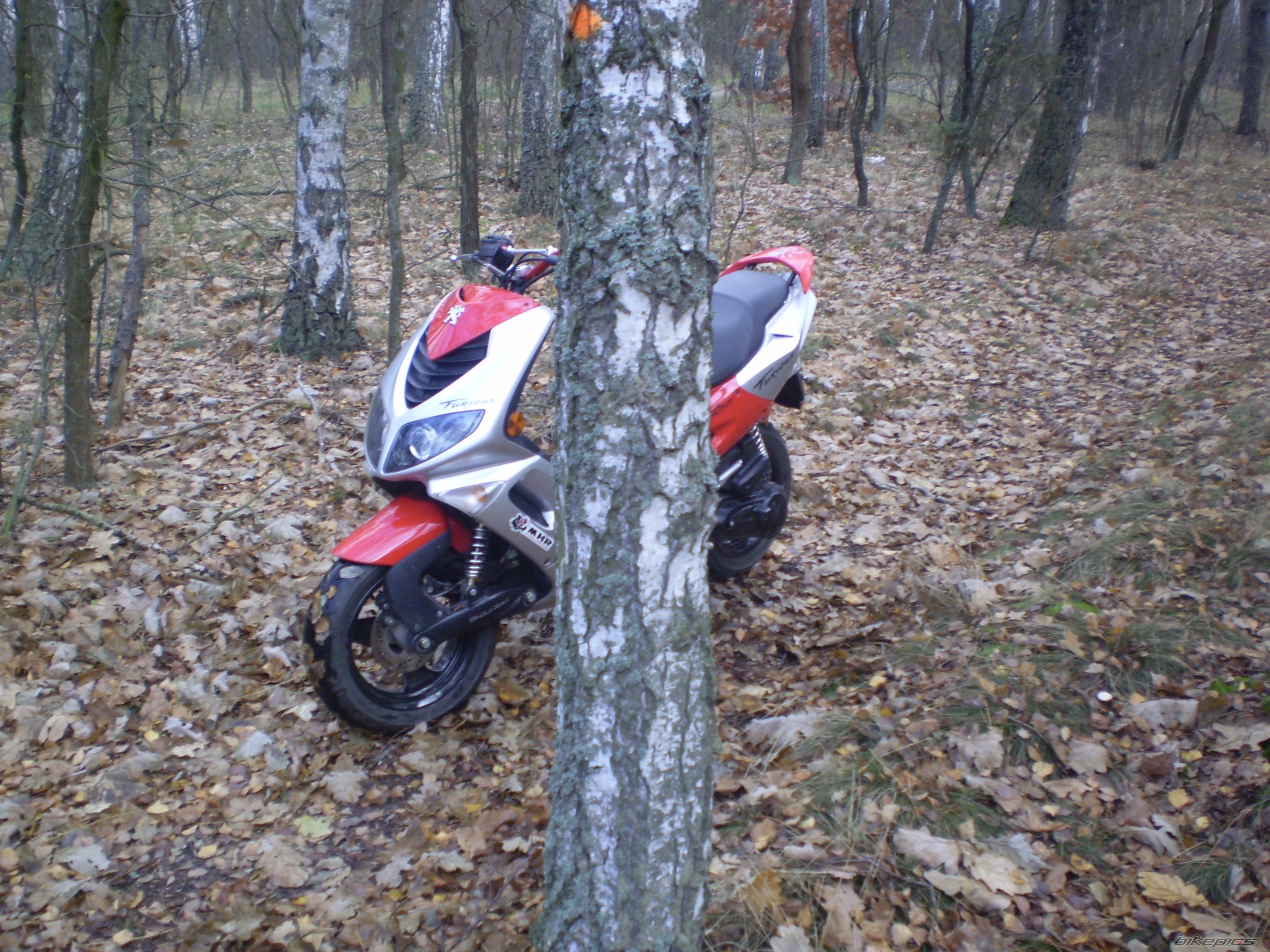 Photo 1081290