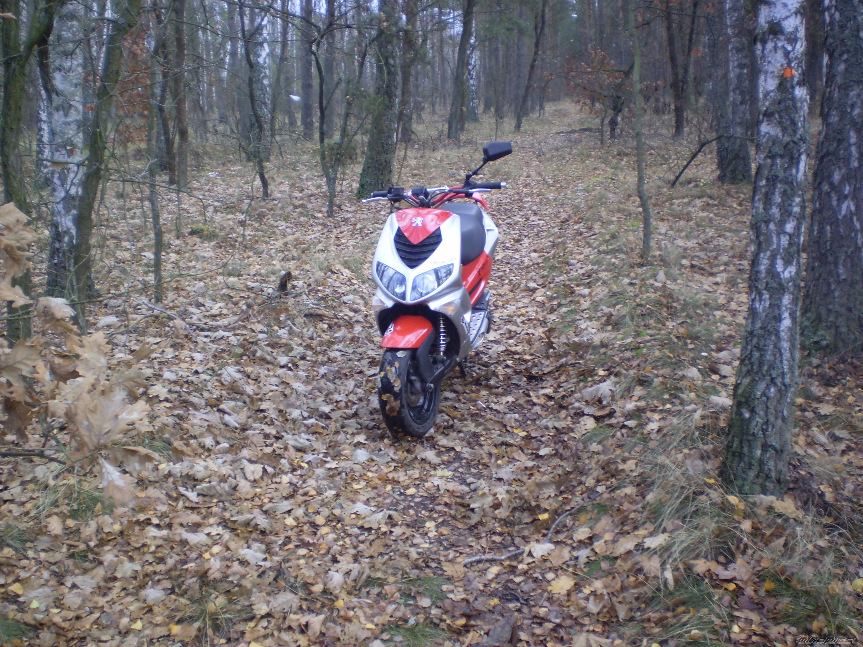 Photo 1081302