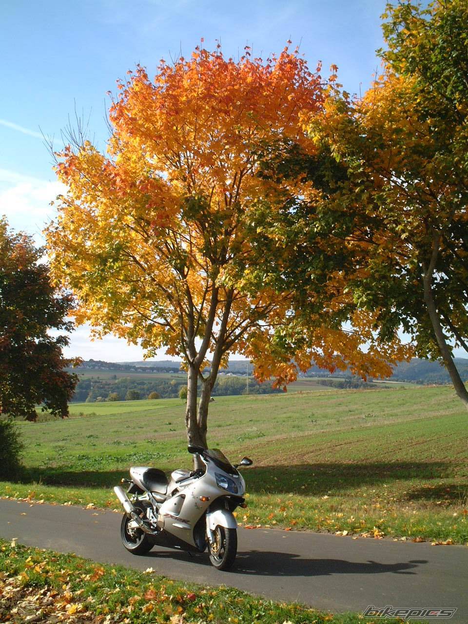 Bike Photo 108396