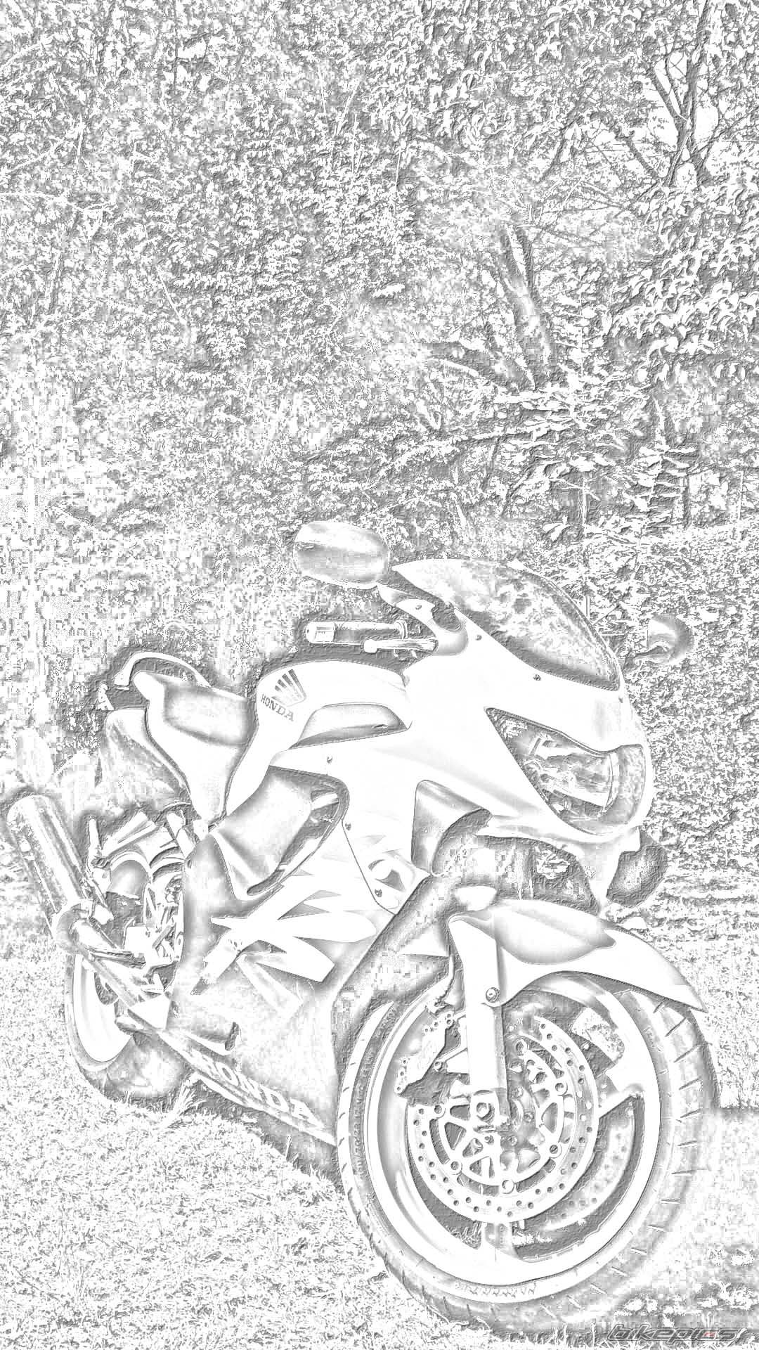 Photo 1085653