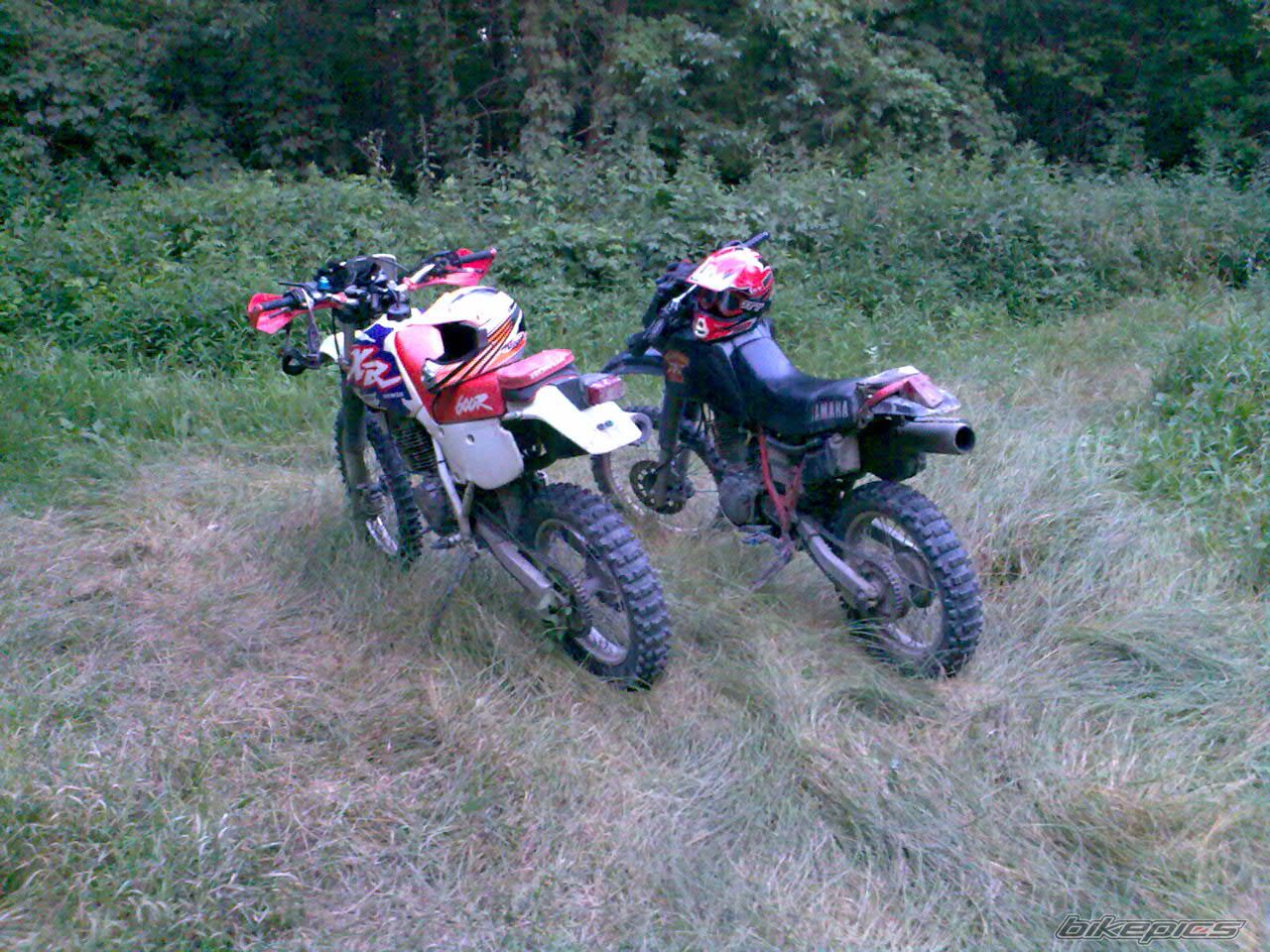 Photo 1086607