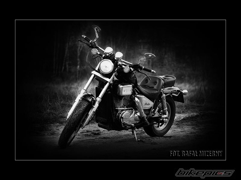 Photo 1088713