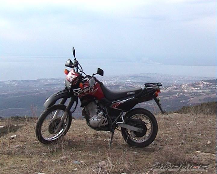 Photo 109392