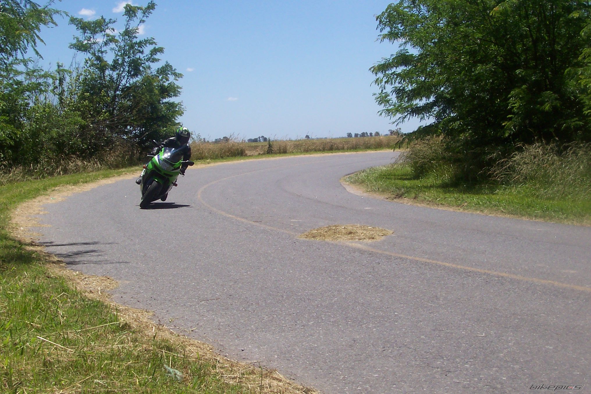 Photo 1098416