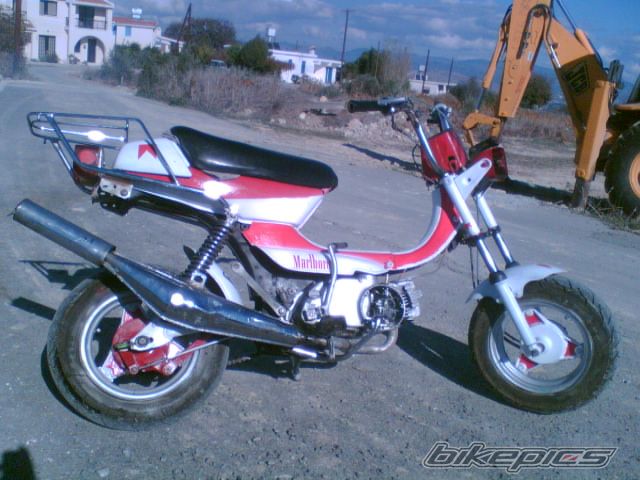 Photo 1100110