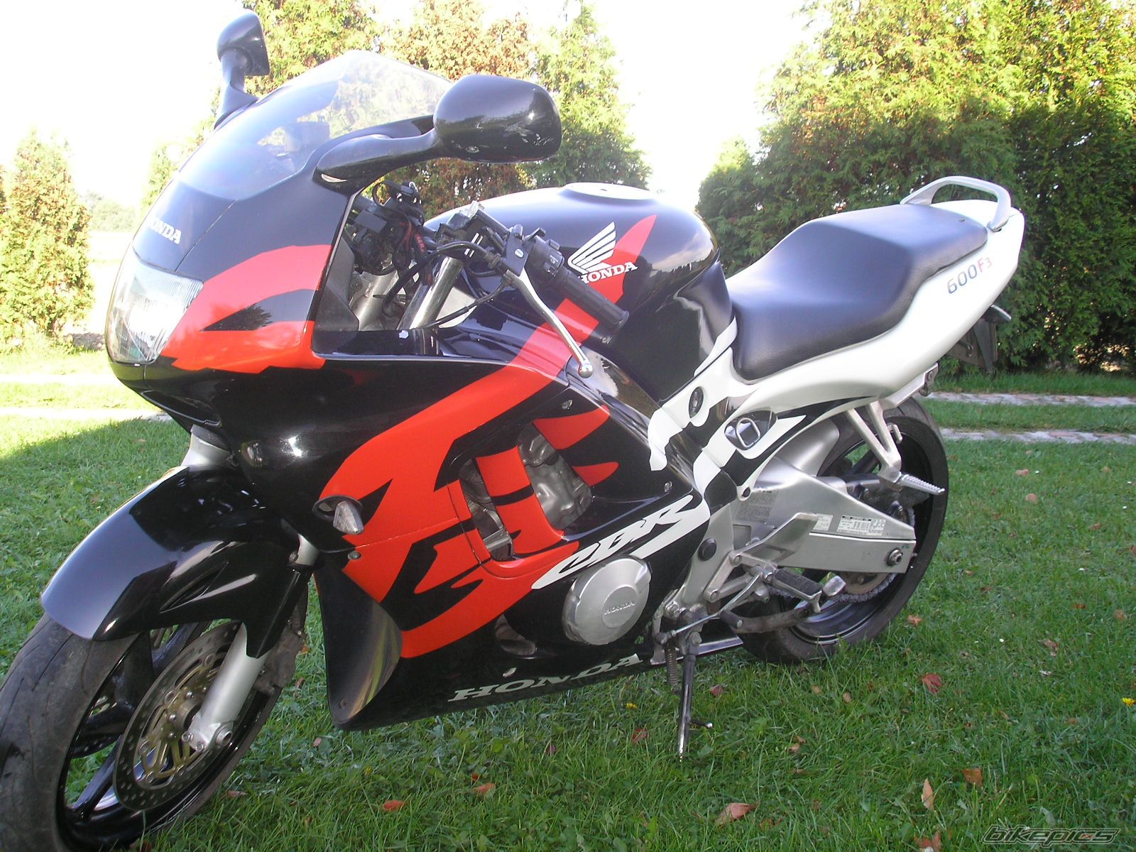 Photo 1100113