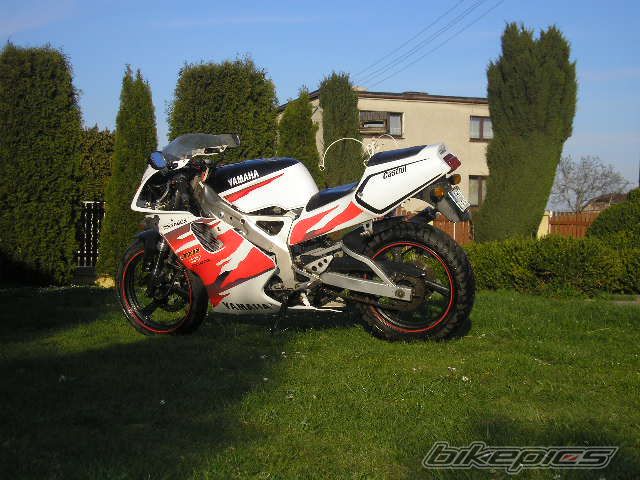 Photo 1100134