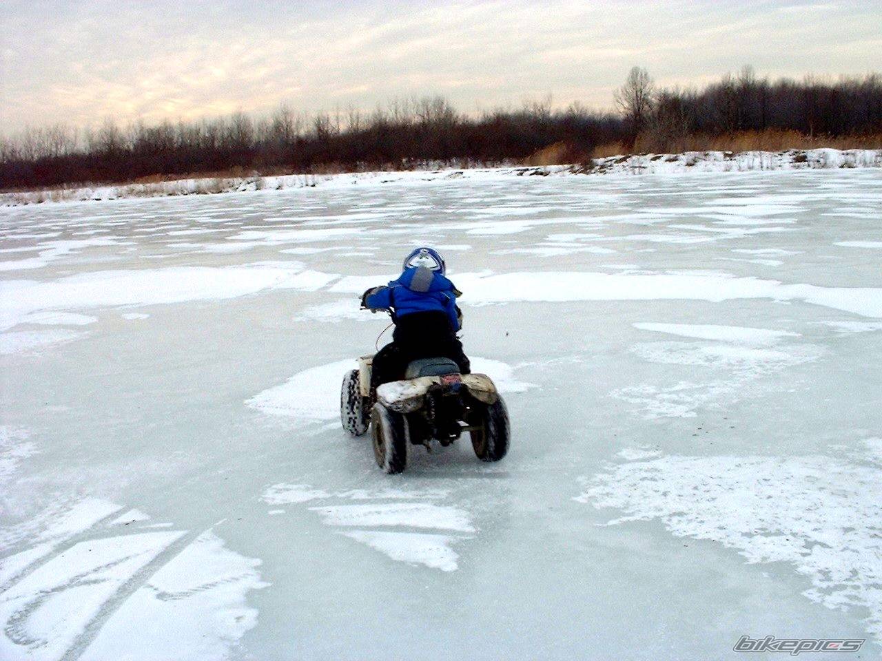Bike Photo 110274