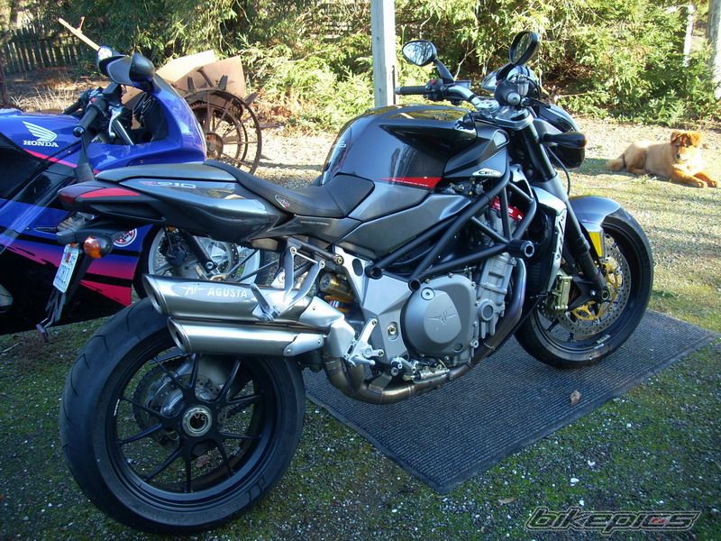 Photo 1104511
